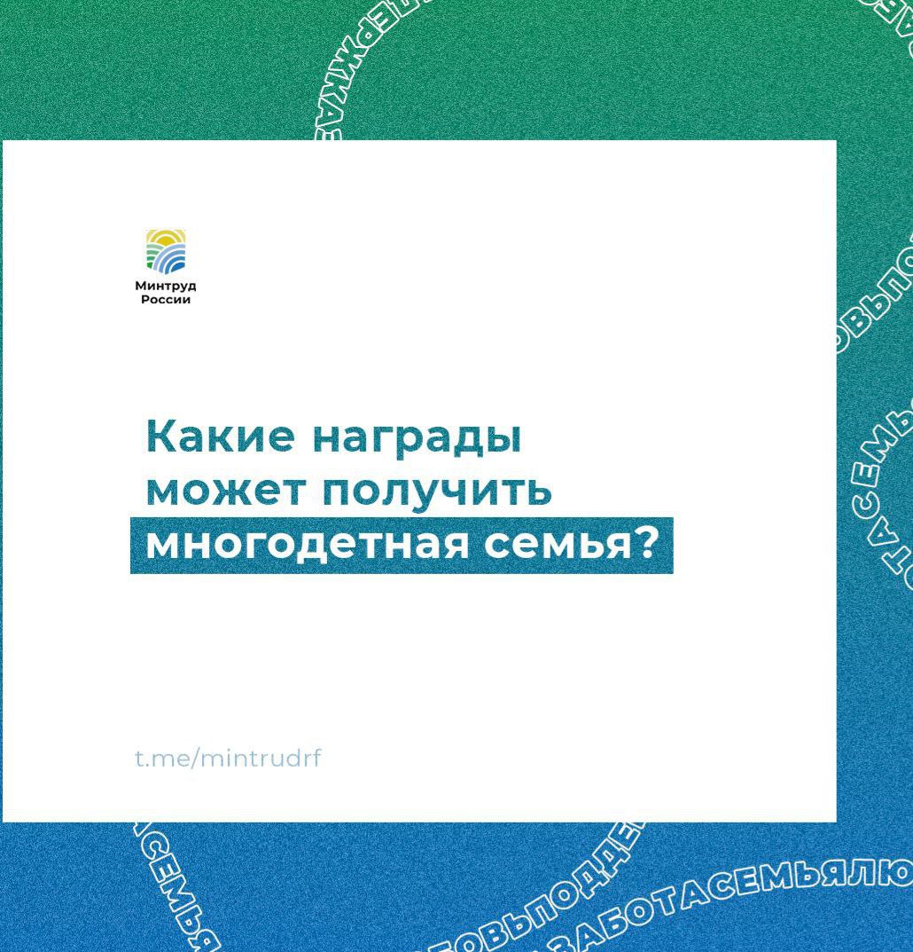  Какие награды может получить многодетная семья.