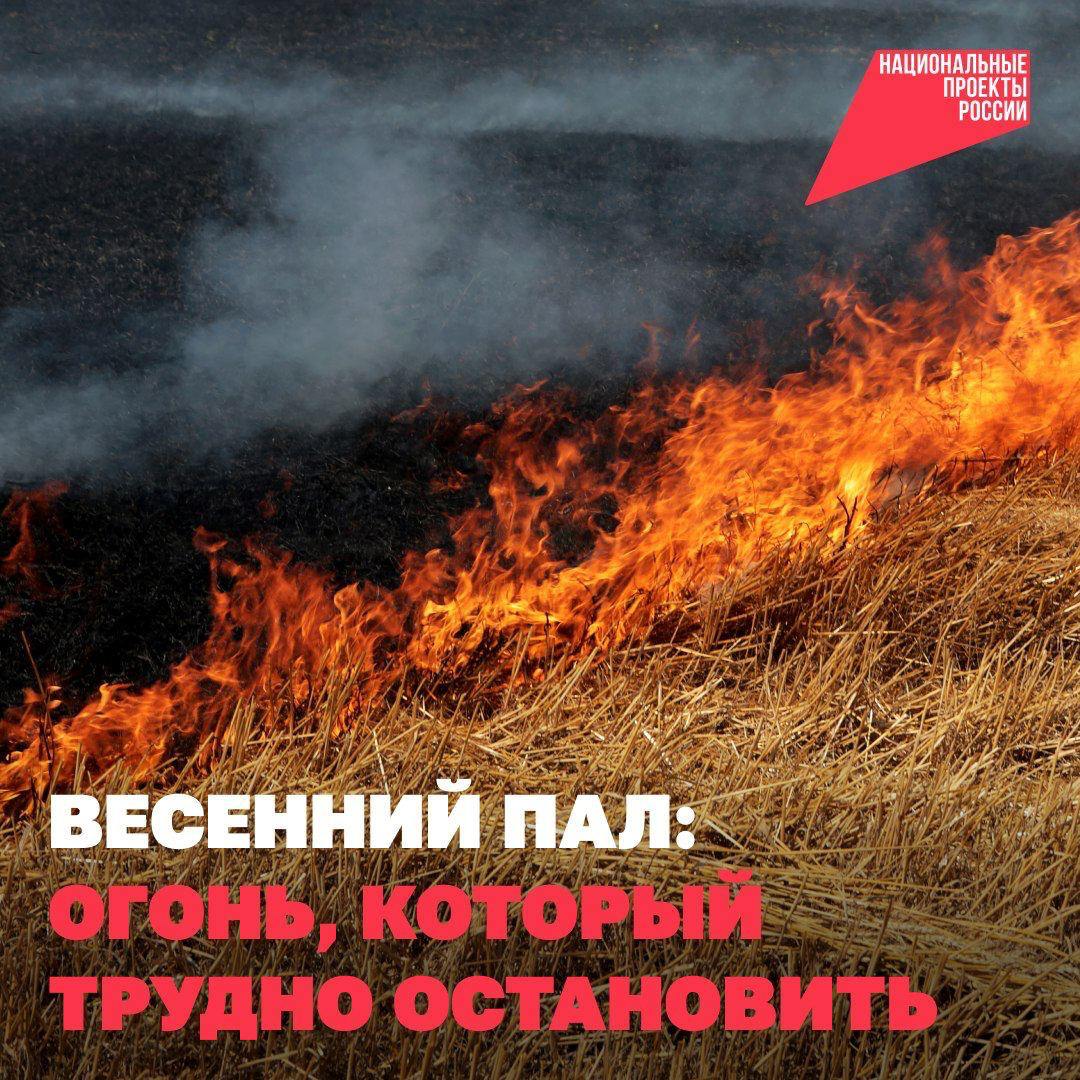  Из-за весенних палов растёт риск пожаров..
