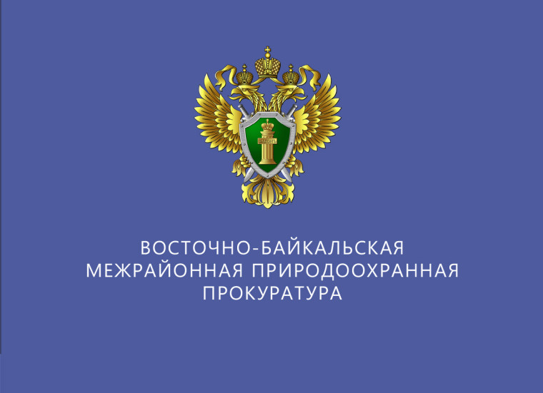 Восточно-Байкальская межрайонная природоохранная прокуратура разъясняет о способах защиты прав предпринимателей.