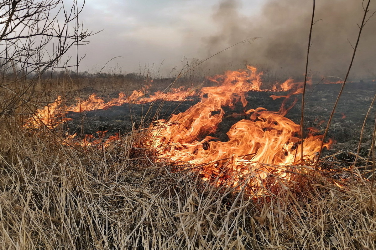 Безопасность при весеннем пале травы.
