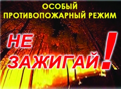 На территории Кяхтинского района  действует особый противопожарный режим.