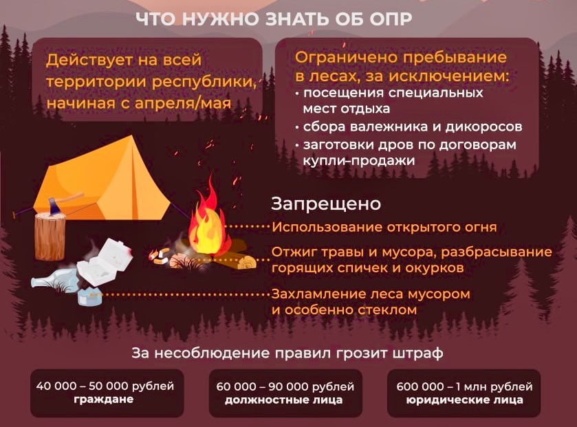 В лесах Бурятии введен особый противопожарный режим.