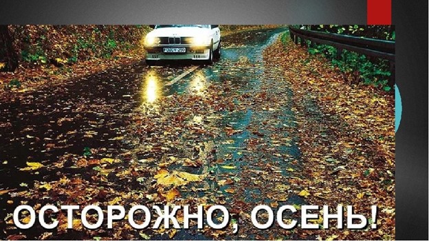 ОСОБЕННОСТИ  ПДД В ОСЕННИЙ ПЕРИОД.