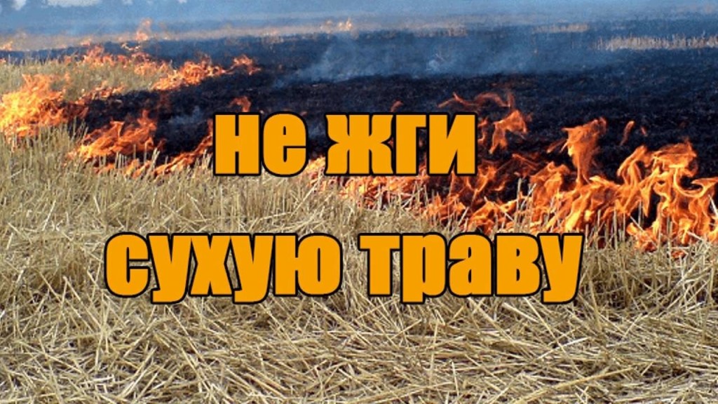 Обращаем внимание жителей Кяхтинского района на недопустимость сжиганий сухой травы!.