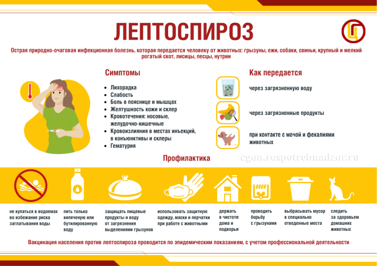 На территории Кяхтинского района у сельскохозяйственных животных был обнаружен лептоспироз.. На территории Кяхтинского района у сельскохозяйственных животных был обнаружен лептоспироз..