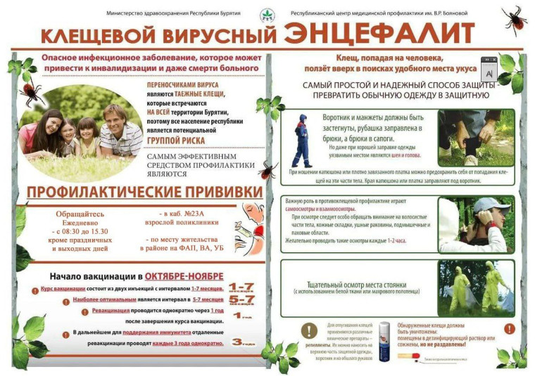 Клещевой вирусный энцефалит: как защитить себя и близких?. Клещевой вирусный энцефалит: как защитить себя и близких?.