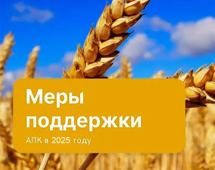 Меры государственной поддержки агропромышленному комплексу Республики Бурятия в 2025 году. Меры государственной поддержки агропромышленному комплексу Республики Бурятия в 2025 году.